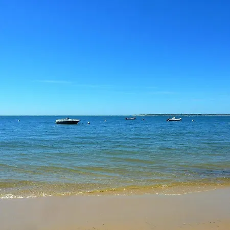 アパート T2 Bis Renove A Centre Avec 2 Terrasses, Clim, Parking, Proche Et Gare. - Fr-1-420-84 *