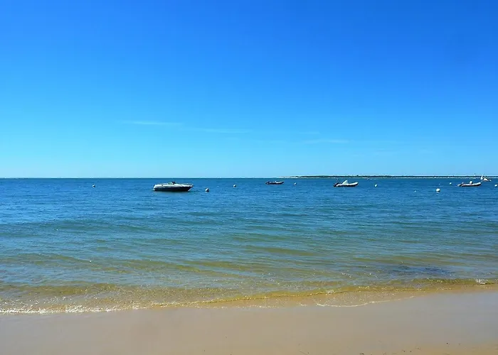 Апартаменты T2 Bis Renove A Centre Avec 2 Terrasses, Clim, Parking, Proche Et Gare. - Fr-1-420-84 *